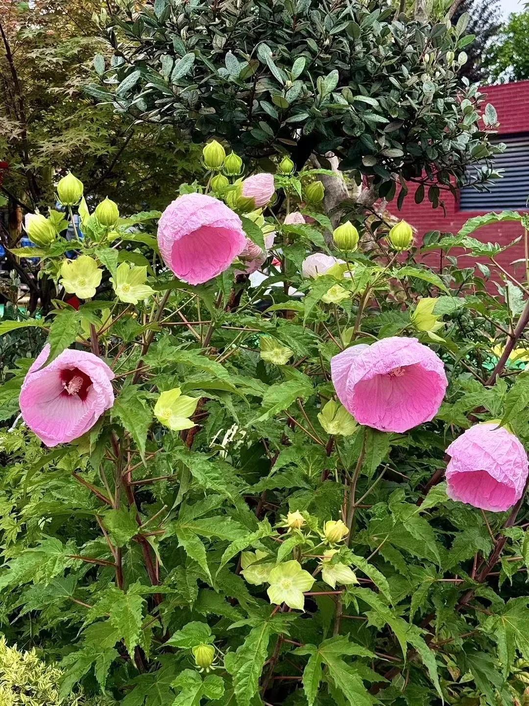 杭州音乐公司招实习生！双休！