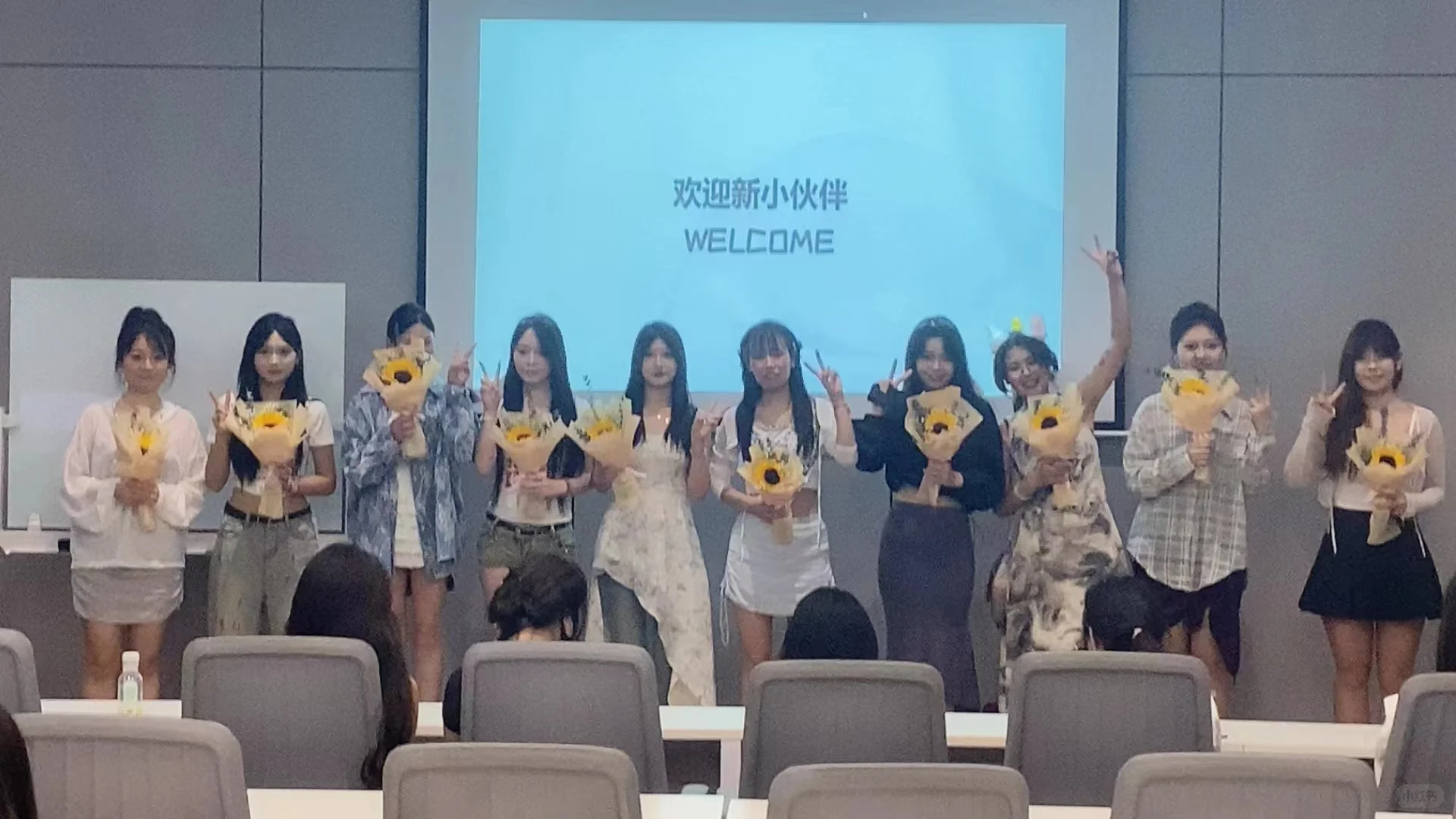 洛阳最佳宝藏职场