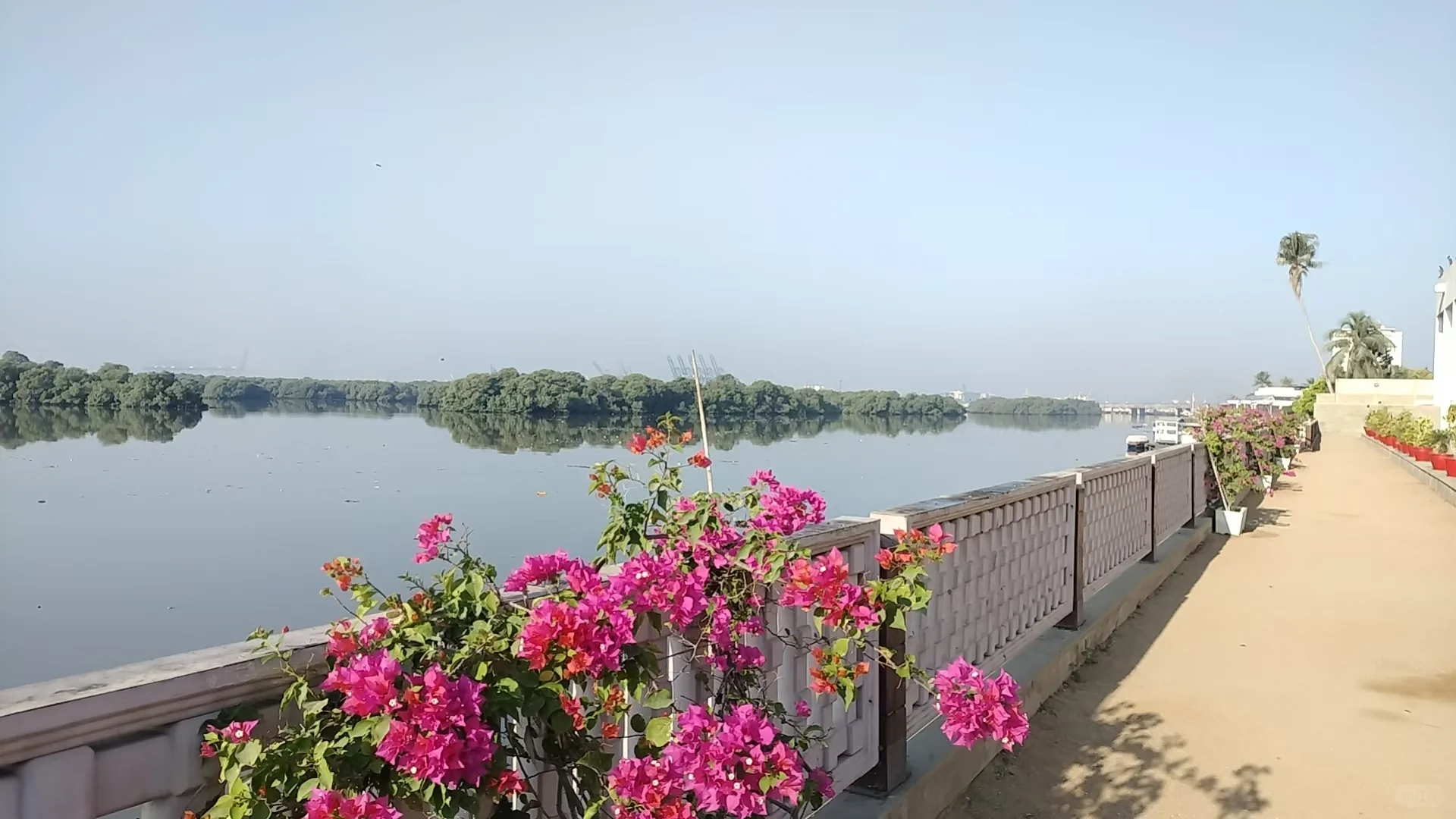 民宿管家招聘 待遇优厚