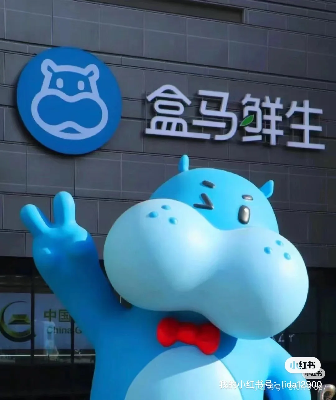 盒马招聘！！！