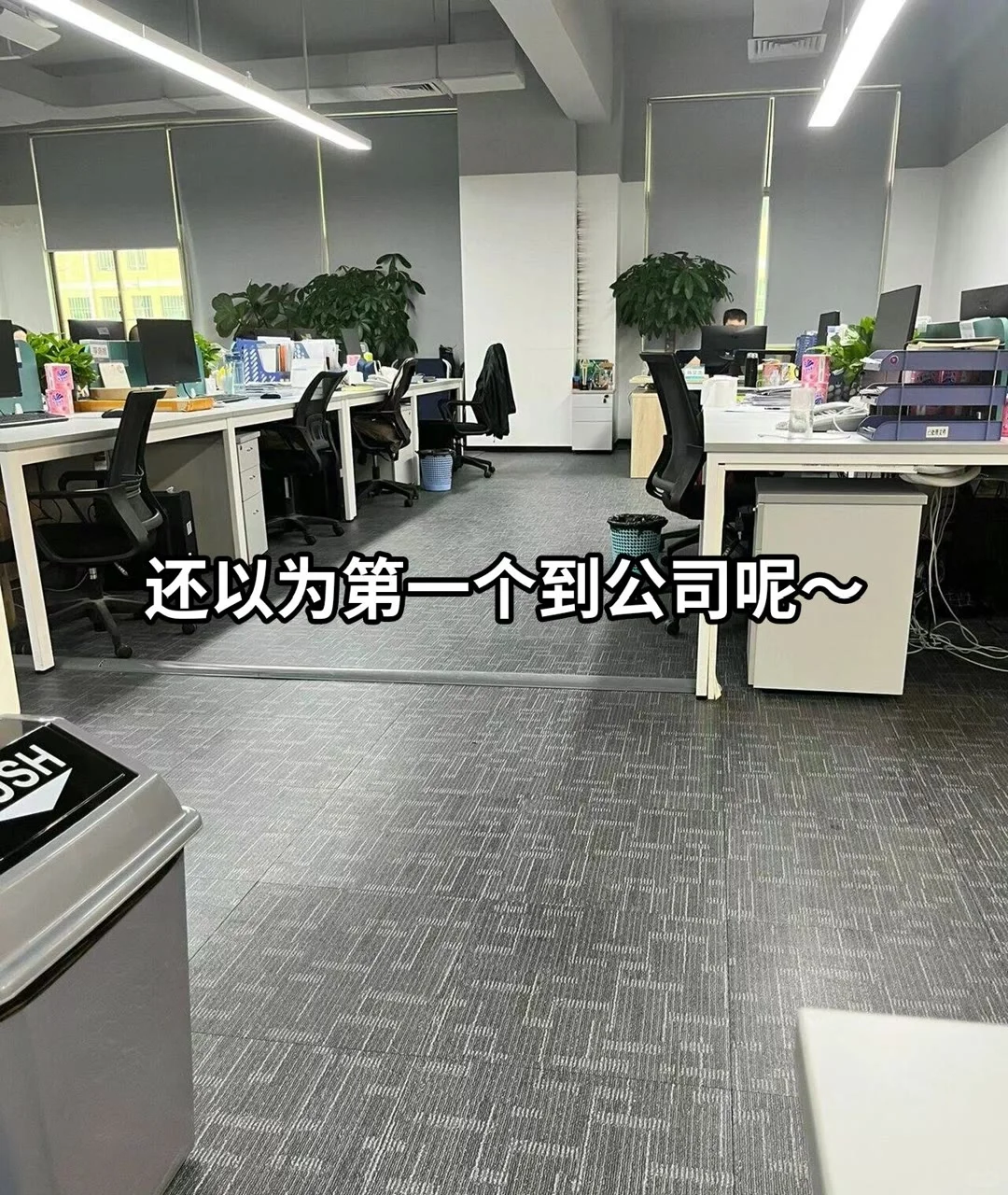 17岁的我终于找到一个适合我做的文员