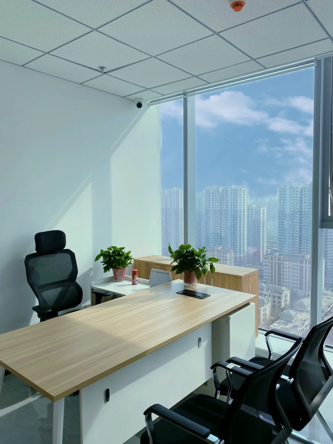 招聘 首月底薪3000元