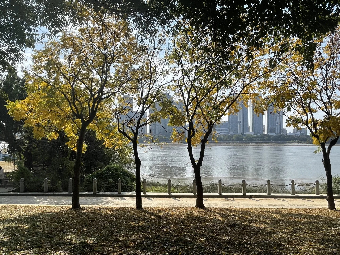 到了2025年招聘还是这么难，肿么办？