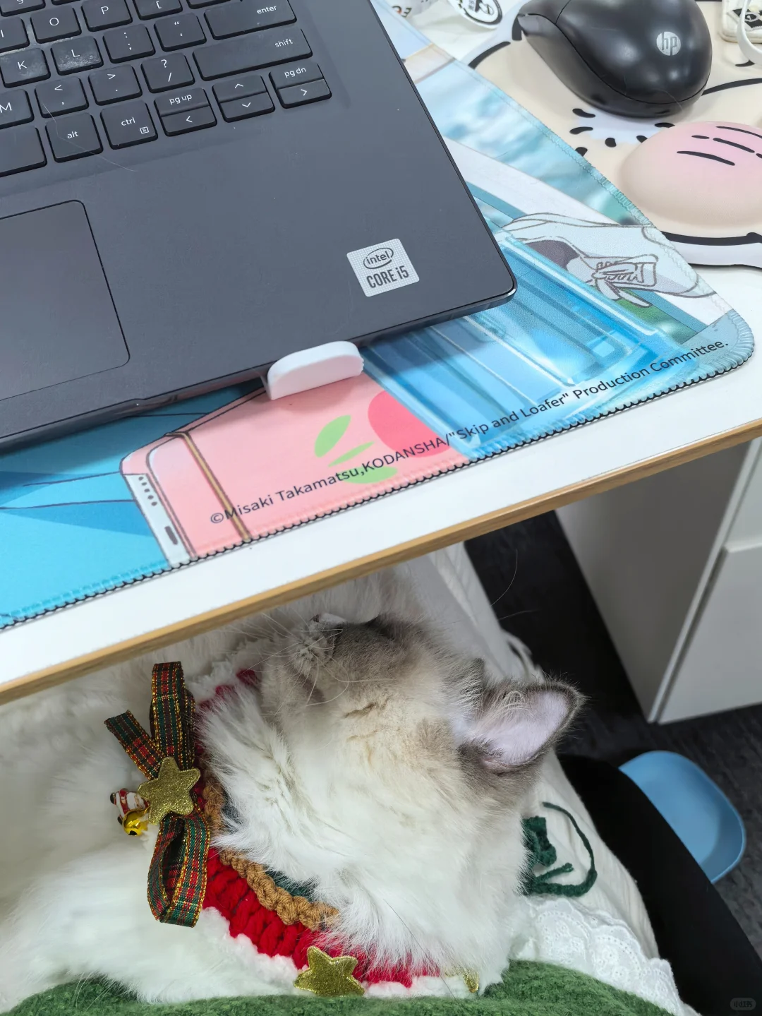 找哔哩哔哩实习继任啦|快快看过来👀