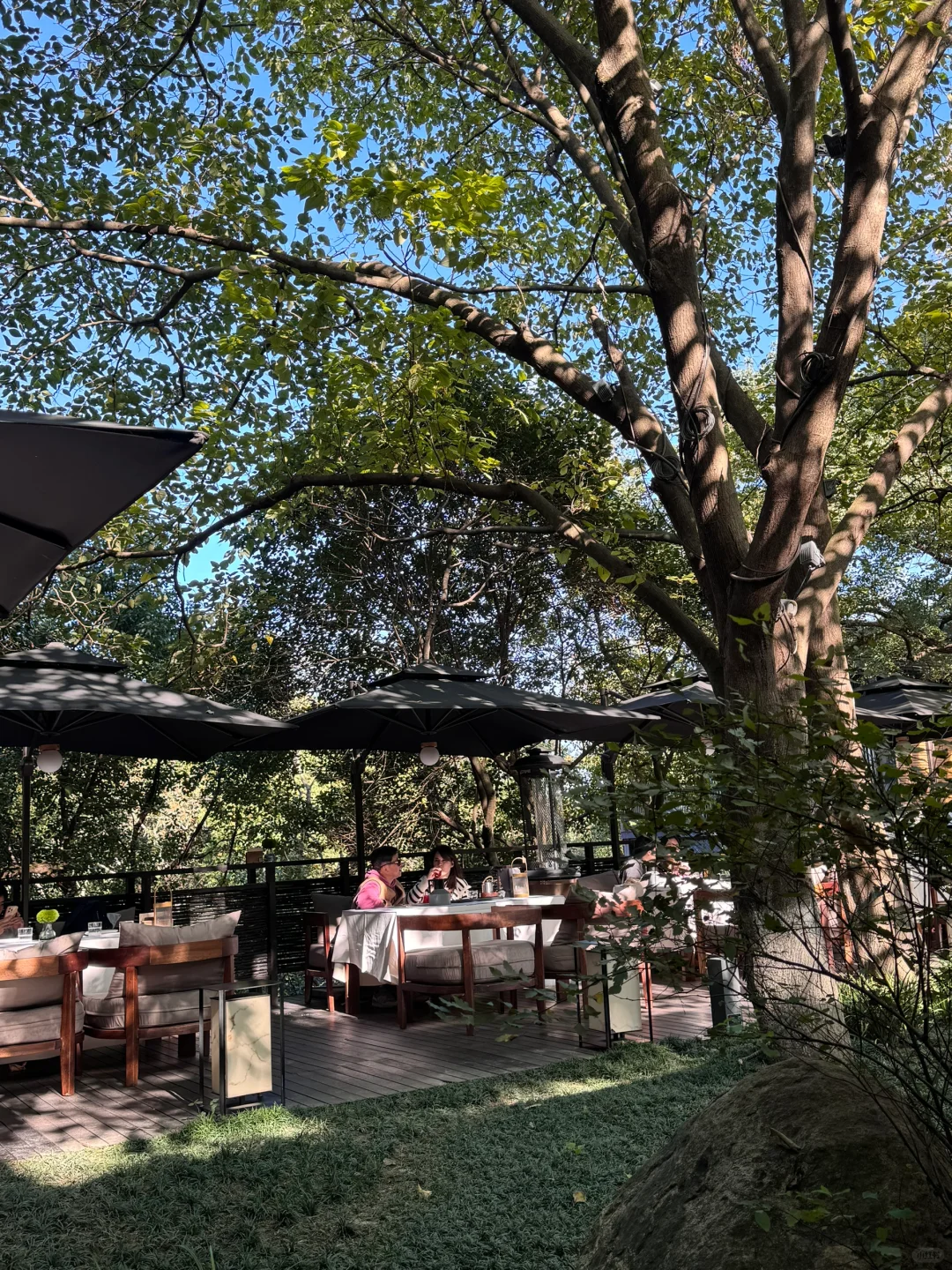 深圳包住 招招招招ren！！