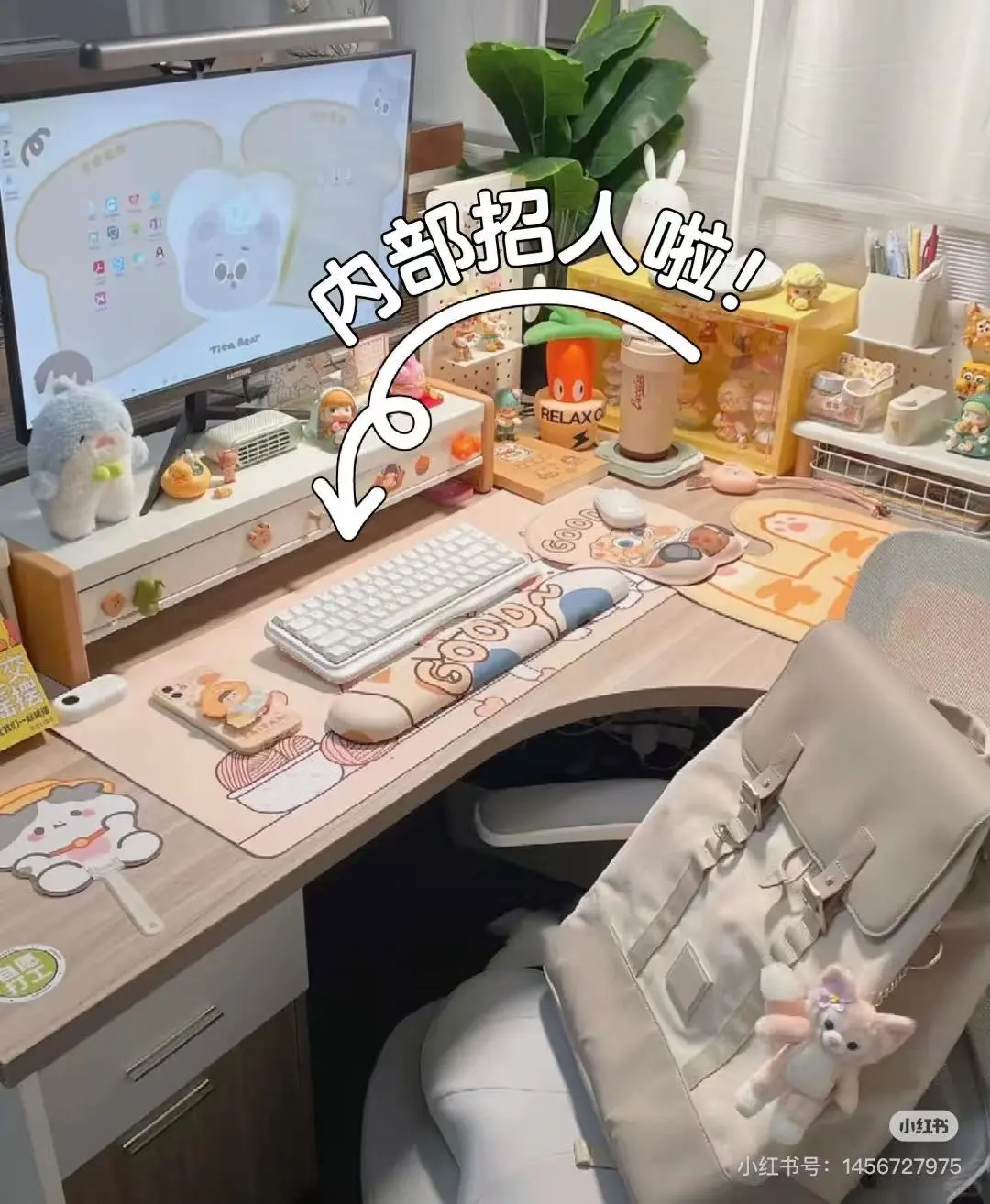 办公室文员➕7000➕可接受小白