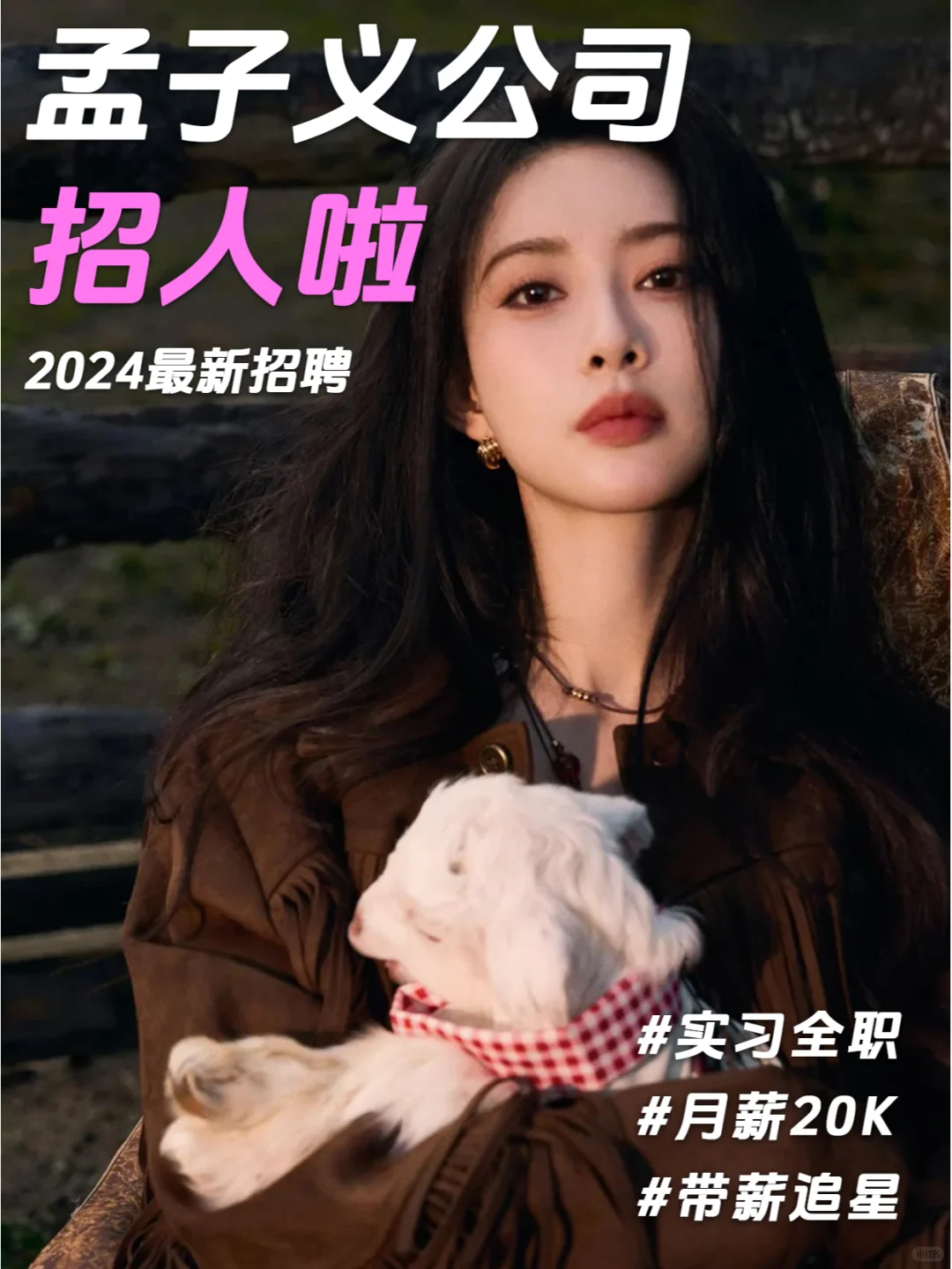 孟子义公司招人啦❗孟姐看看我😍~