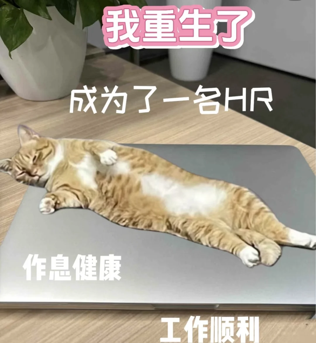 东台工作dd！！！