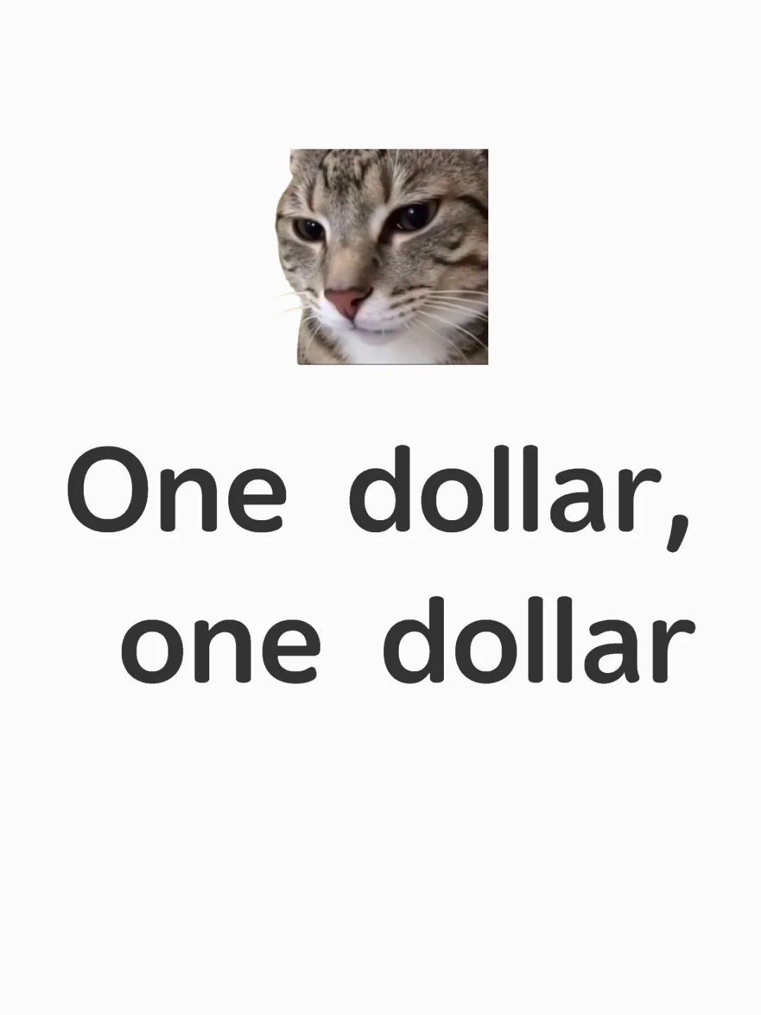 太多tt refugee了 劝那些直播公司赶紧聘我