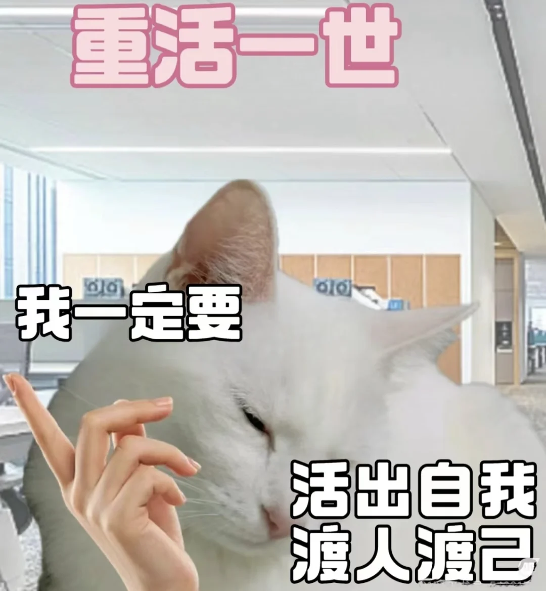 东台工作dd！！！