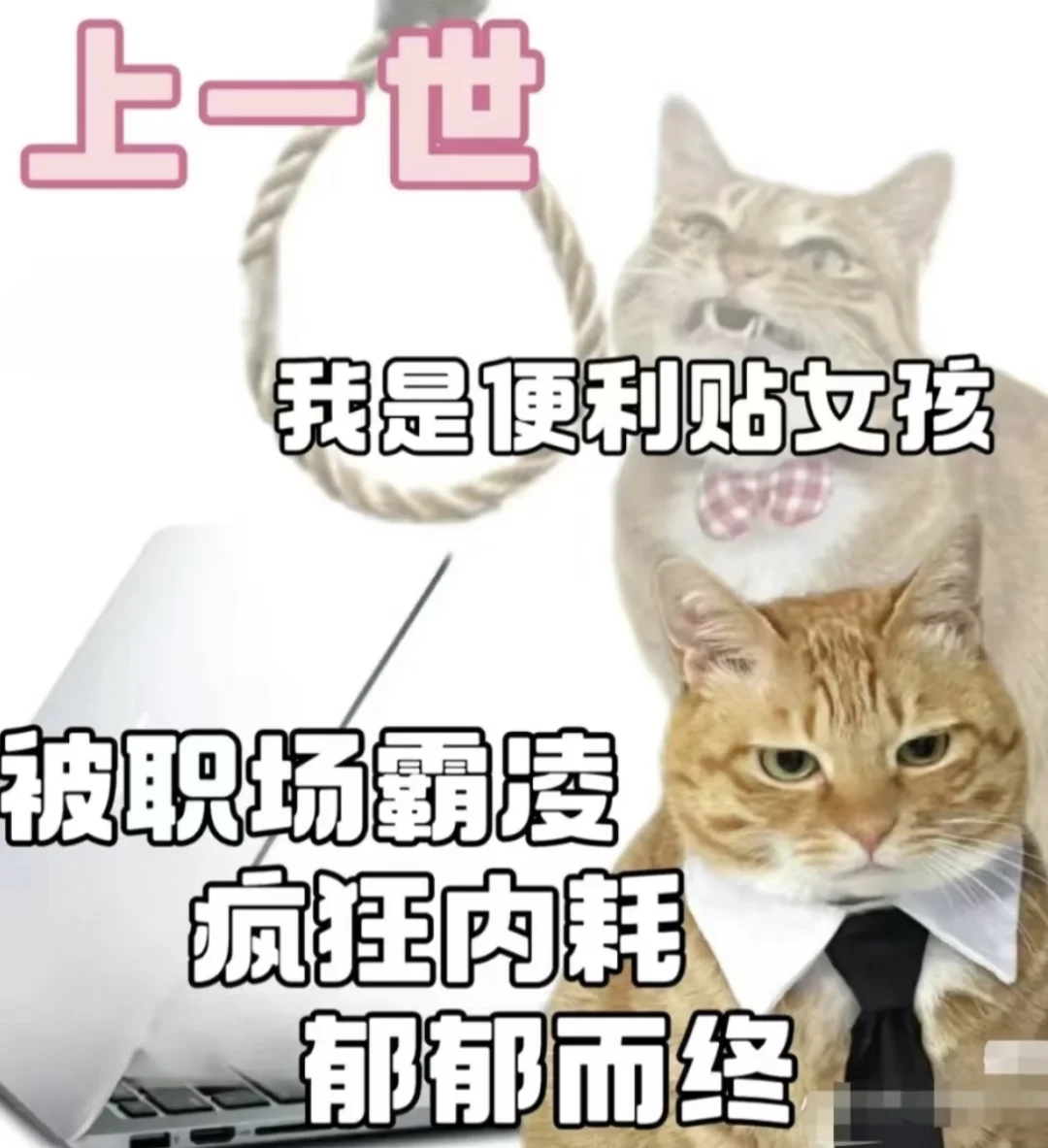 东台工作dd！！！