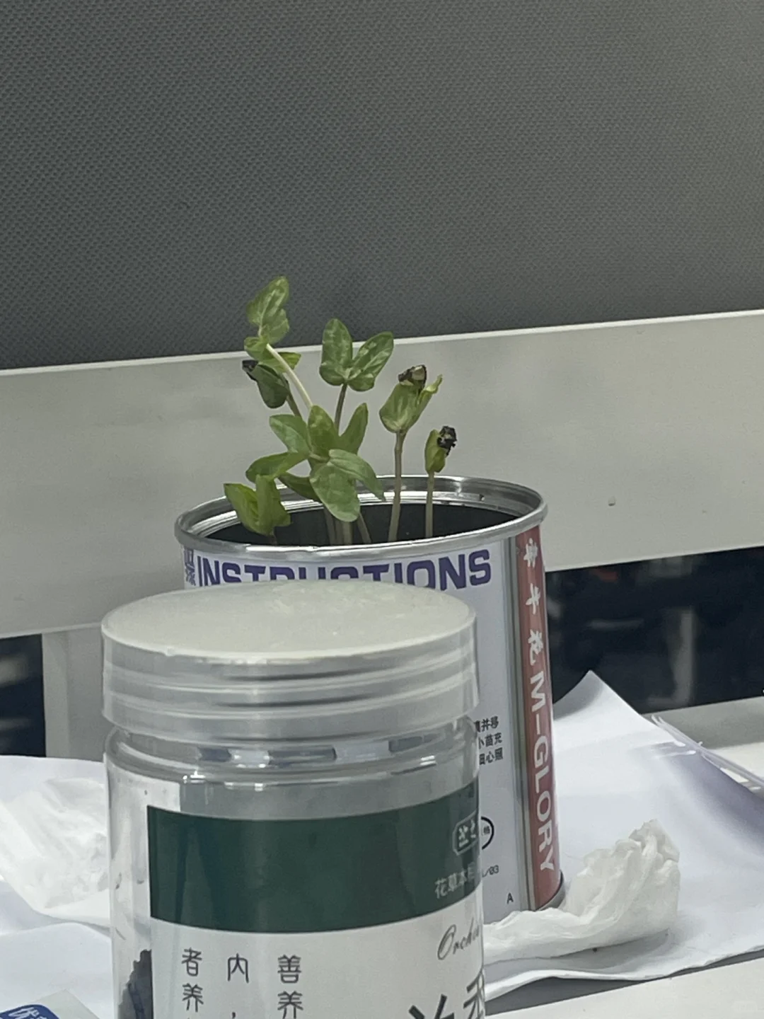 这里有一份offer来看看合适吗