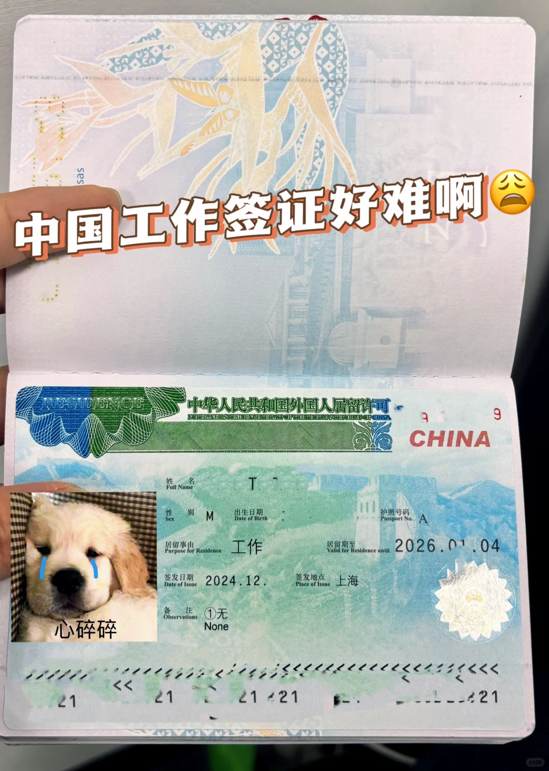 2025中国工作签证和工作居留许可申请全攻略