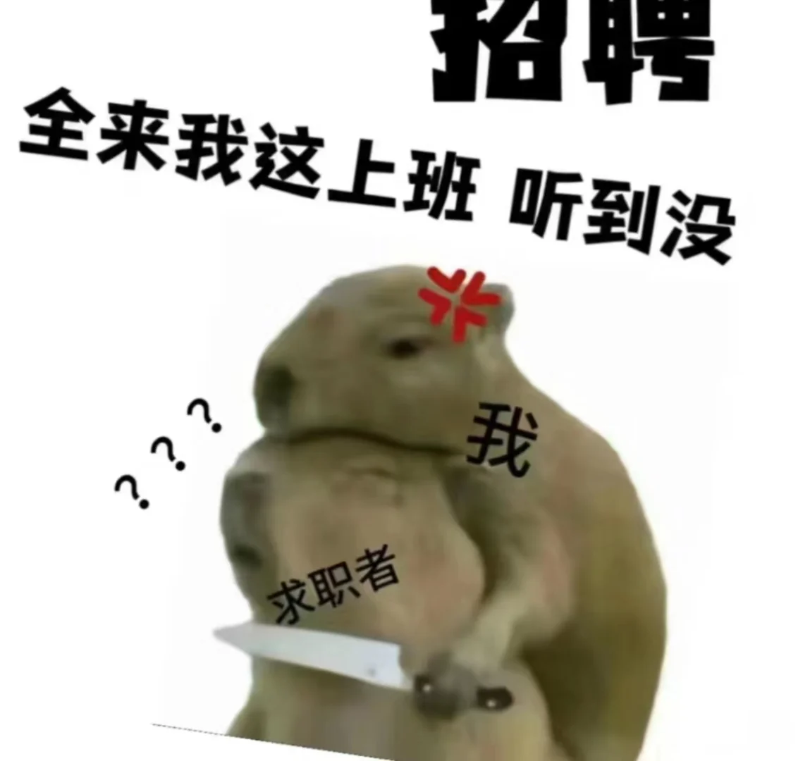 这是一条正经的招聘！