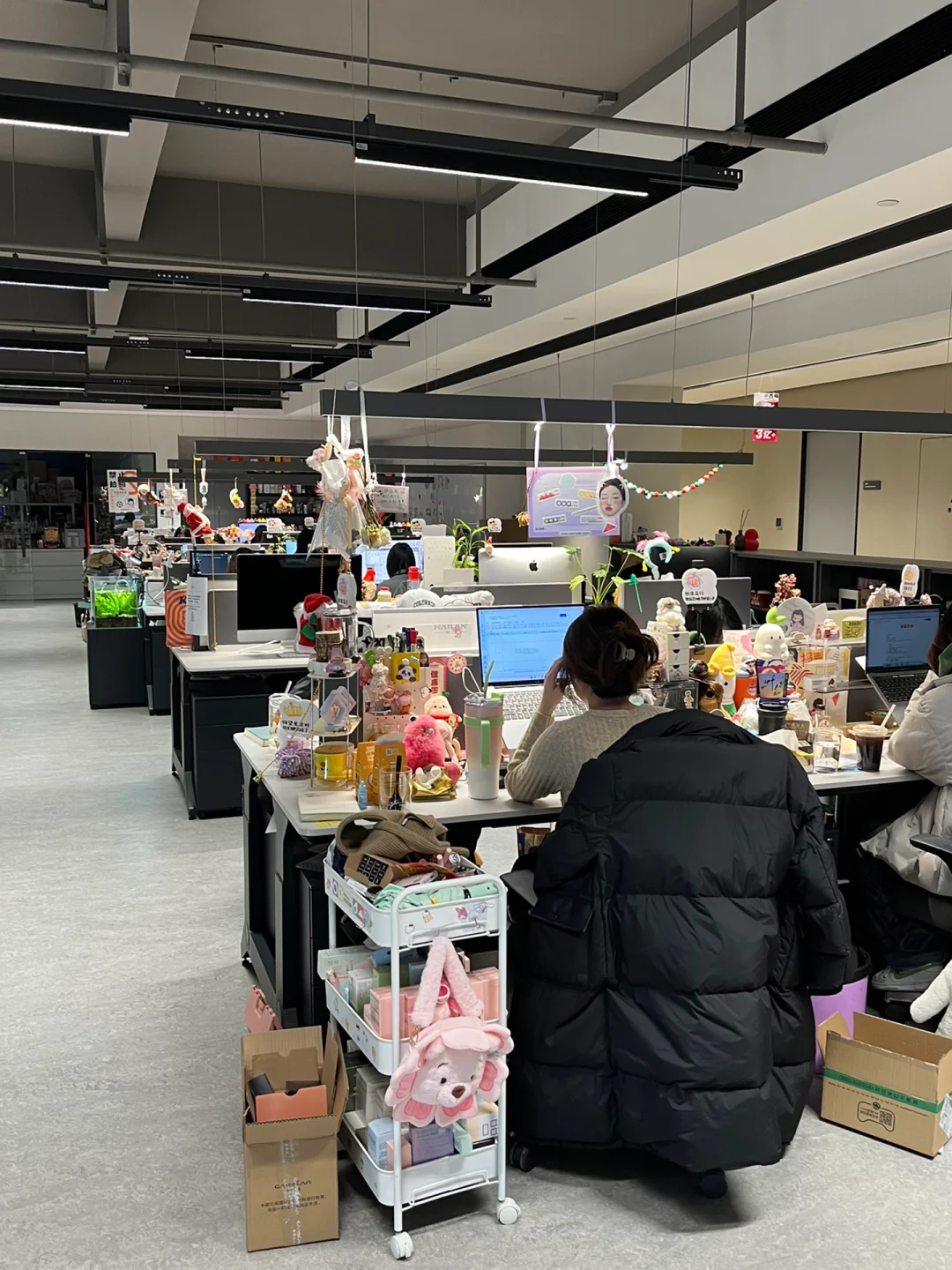 几乎全是女生的公司上班是什么体验