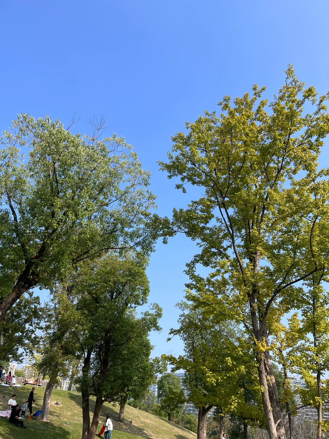 外包千万不要去