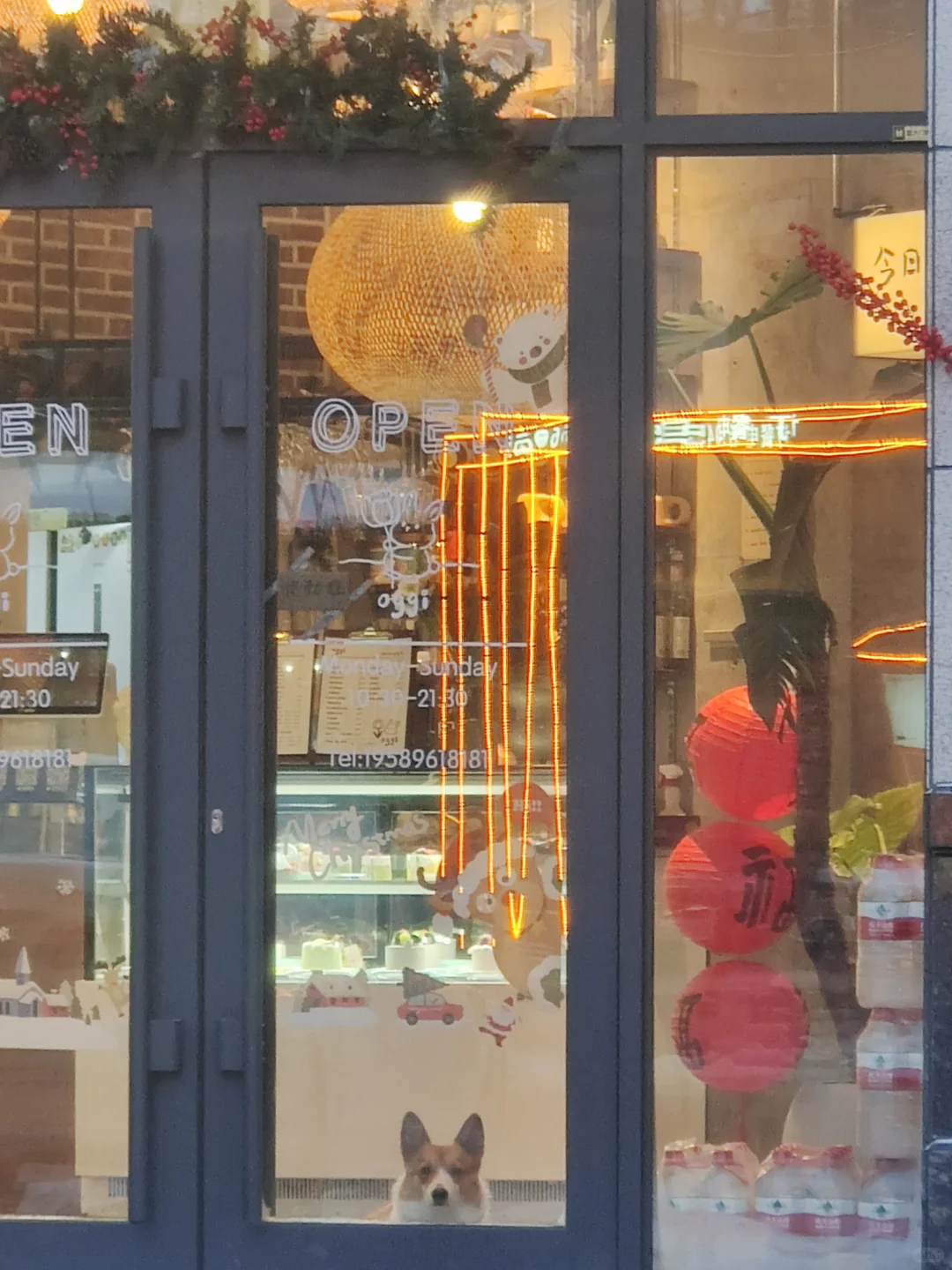 求一份工作有多难！！！