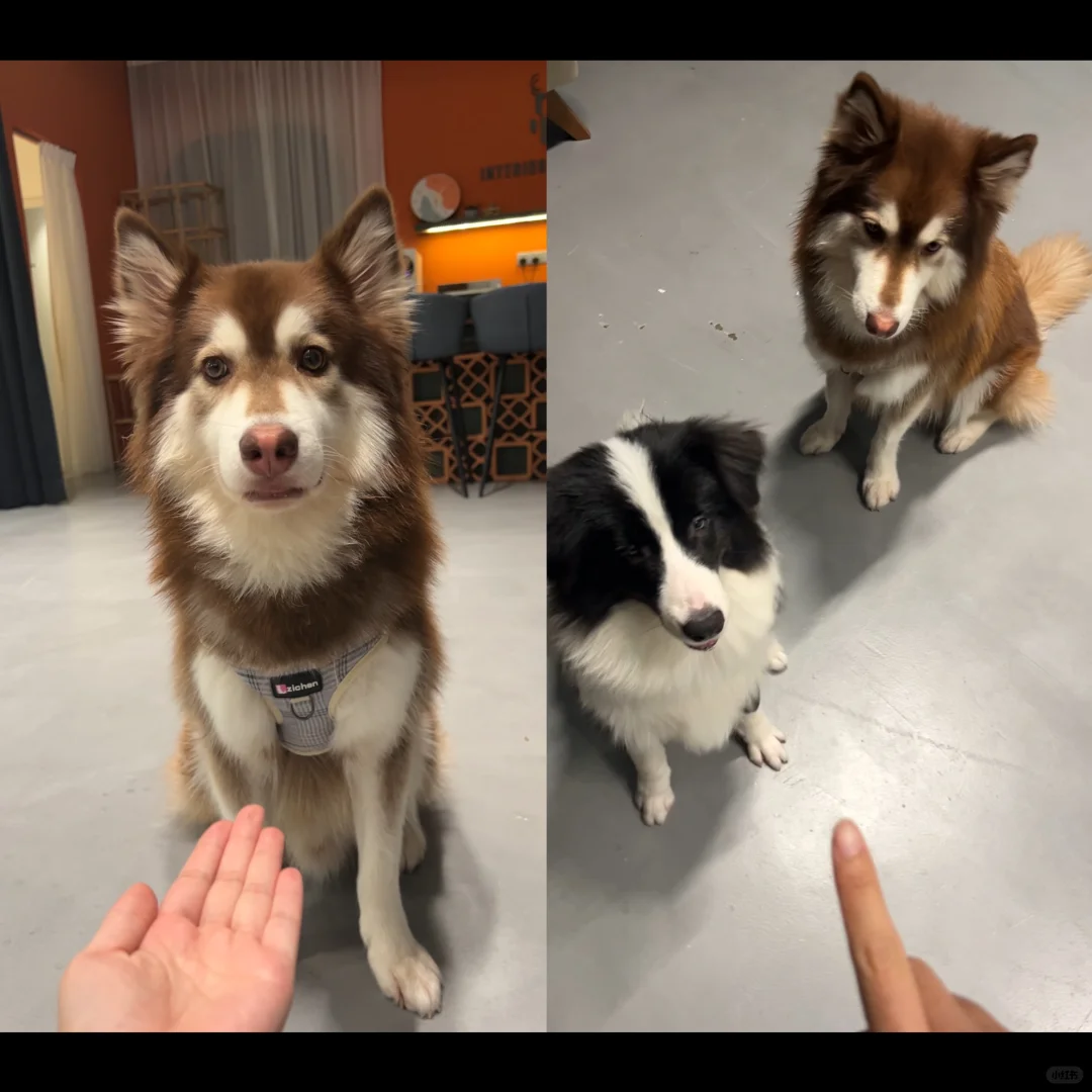 🇲🇾神仙公司招人啦！