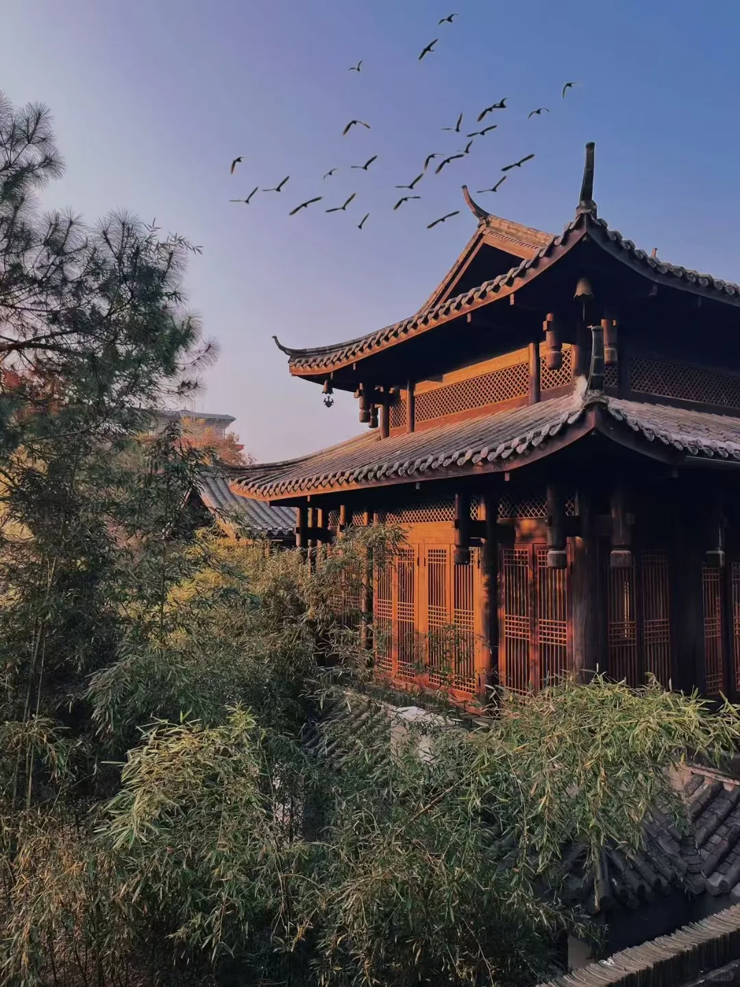 民宿店长招聘 | 交付一座私家庄园给你