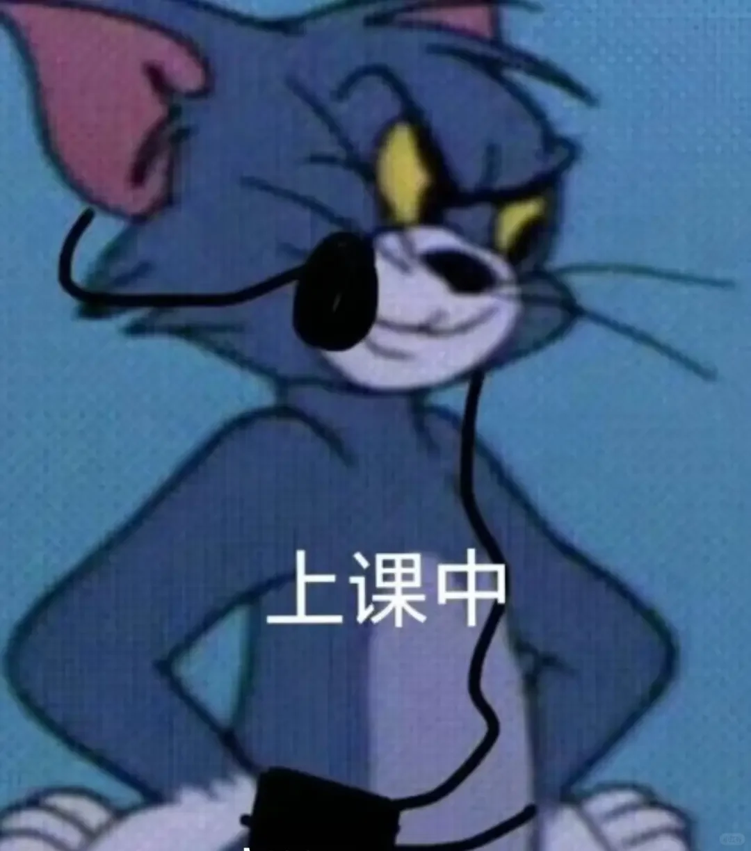 非师范生勇闯上海教师编（经历篇）