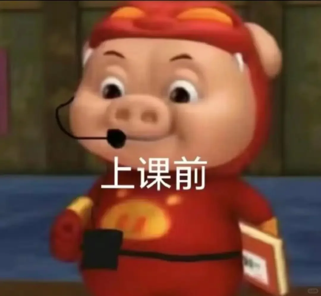 非师范生勇闯上海教师编（经历篇）