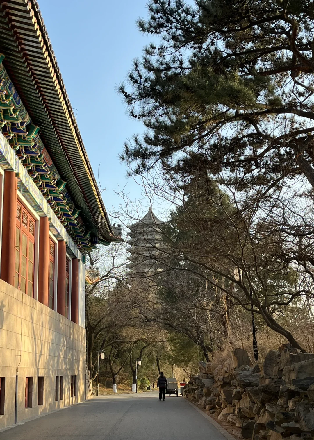 北大行政岗招聘面试｜未名体验与黄粱一梦