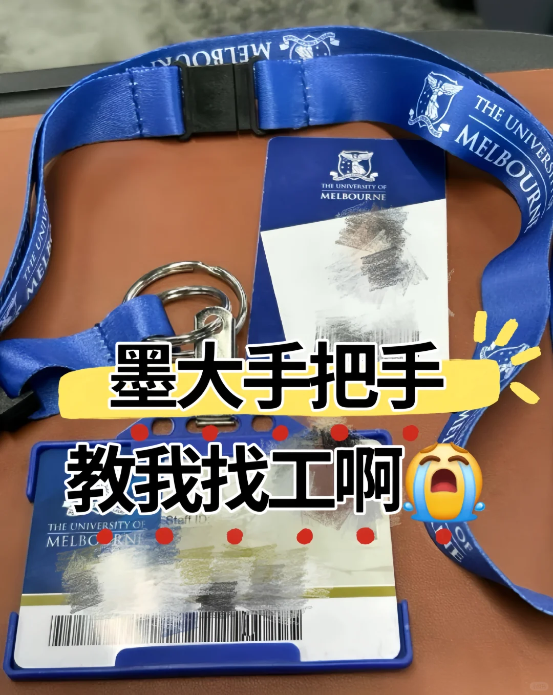 墨大恨不得手把手教我找工