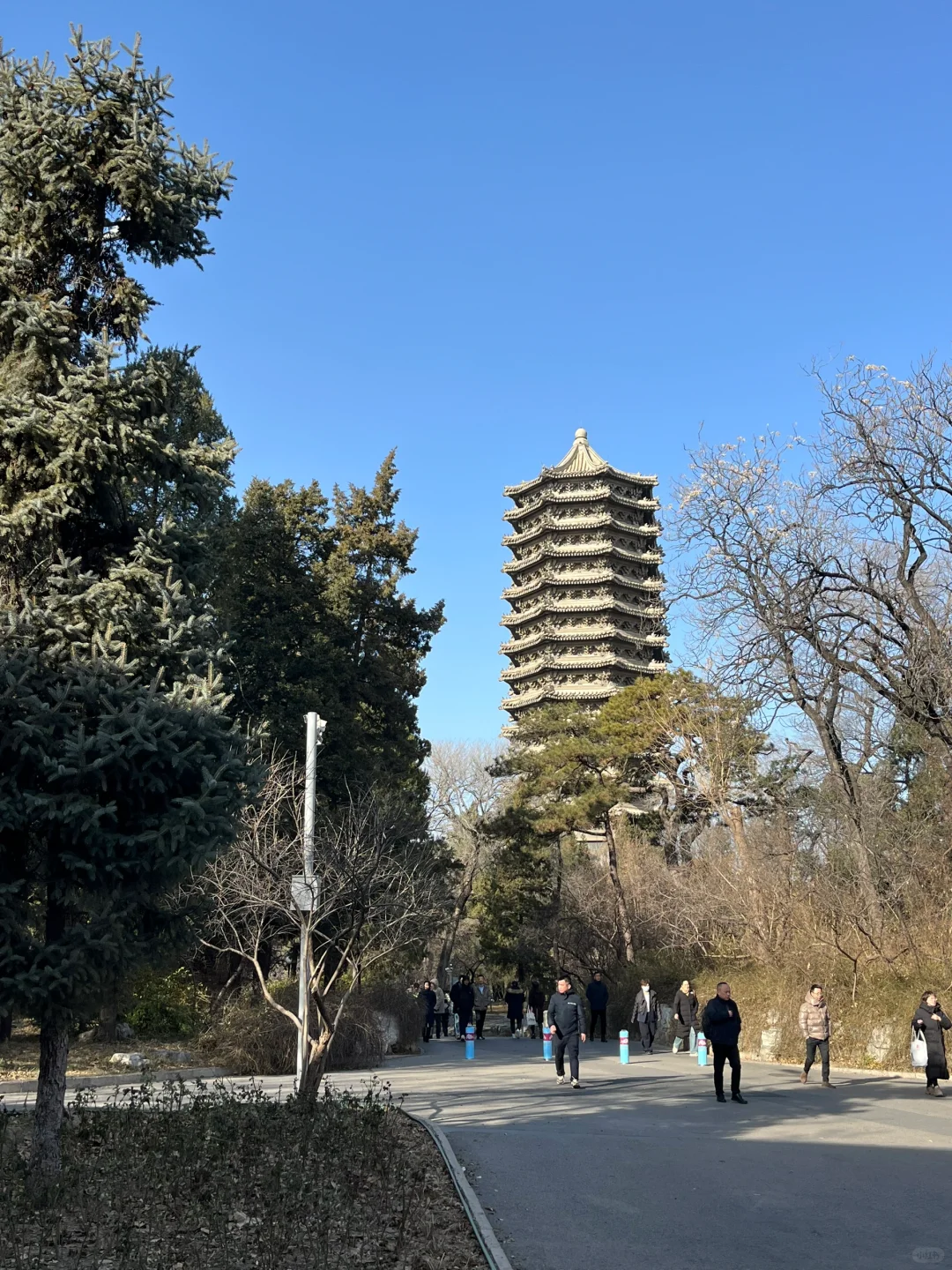 北大行政岗招聘面试｜未名体验与黄粱一梦