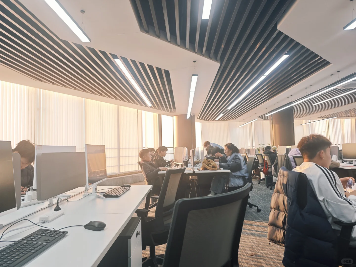 招聘文员小可爱