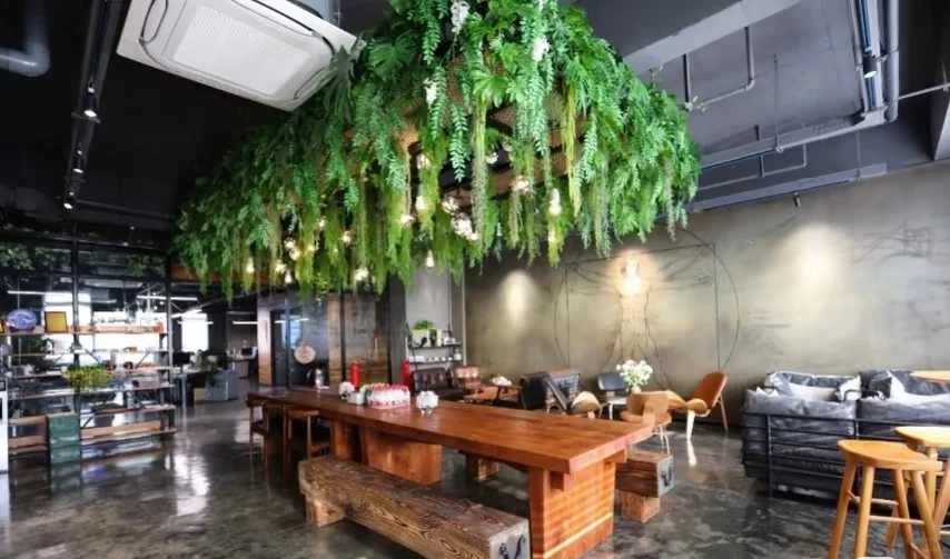 上市医疗器械公司25年新岗位