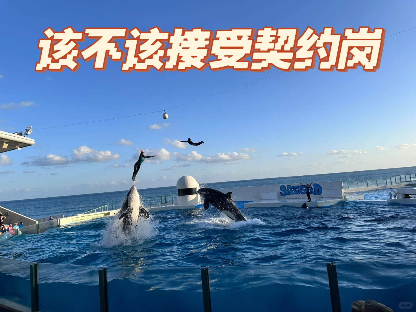 我要不要接受一个契约岗位的offer