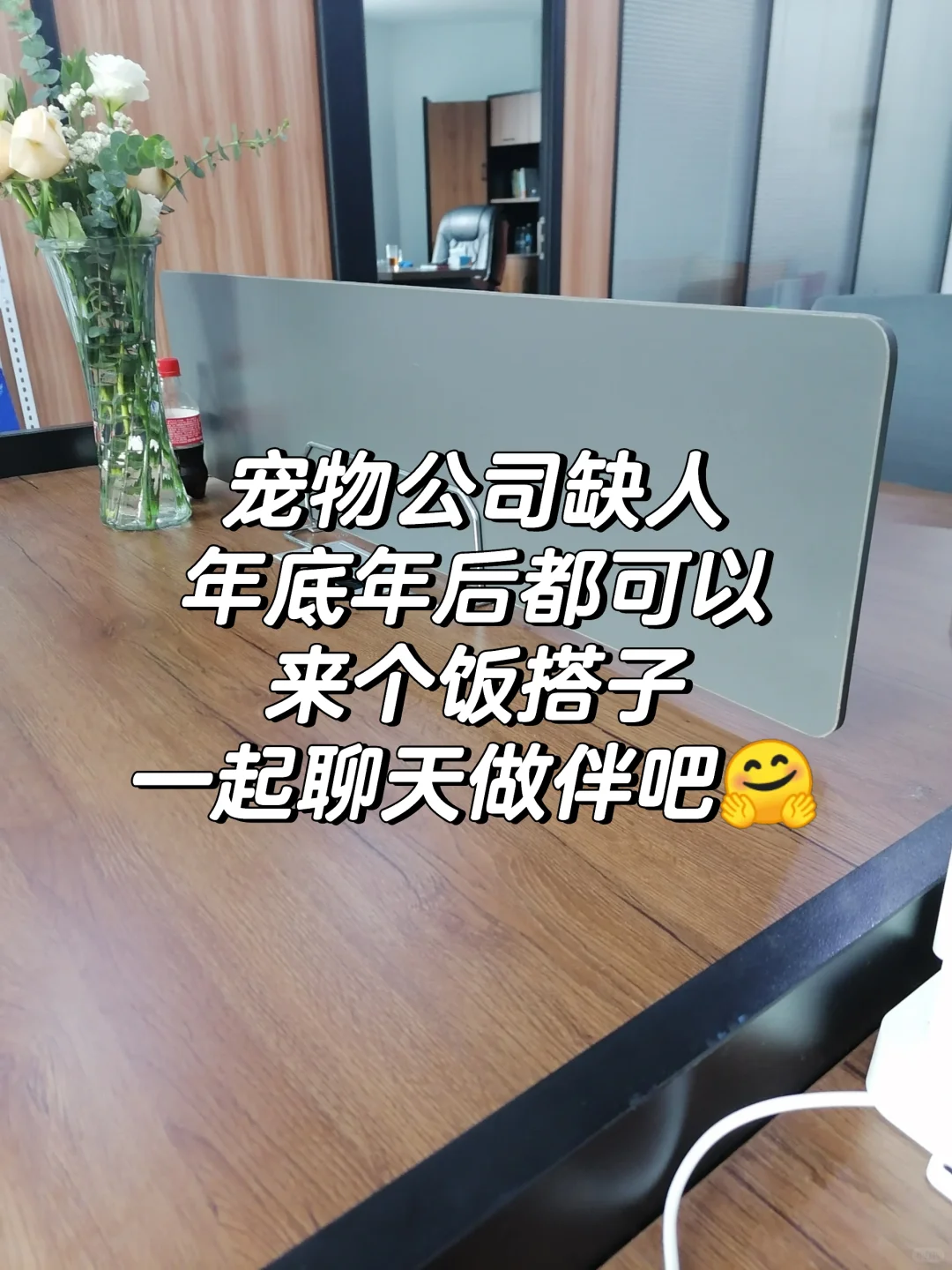 宠物公司缺人，来个搭子一起上班吧