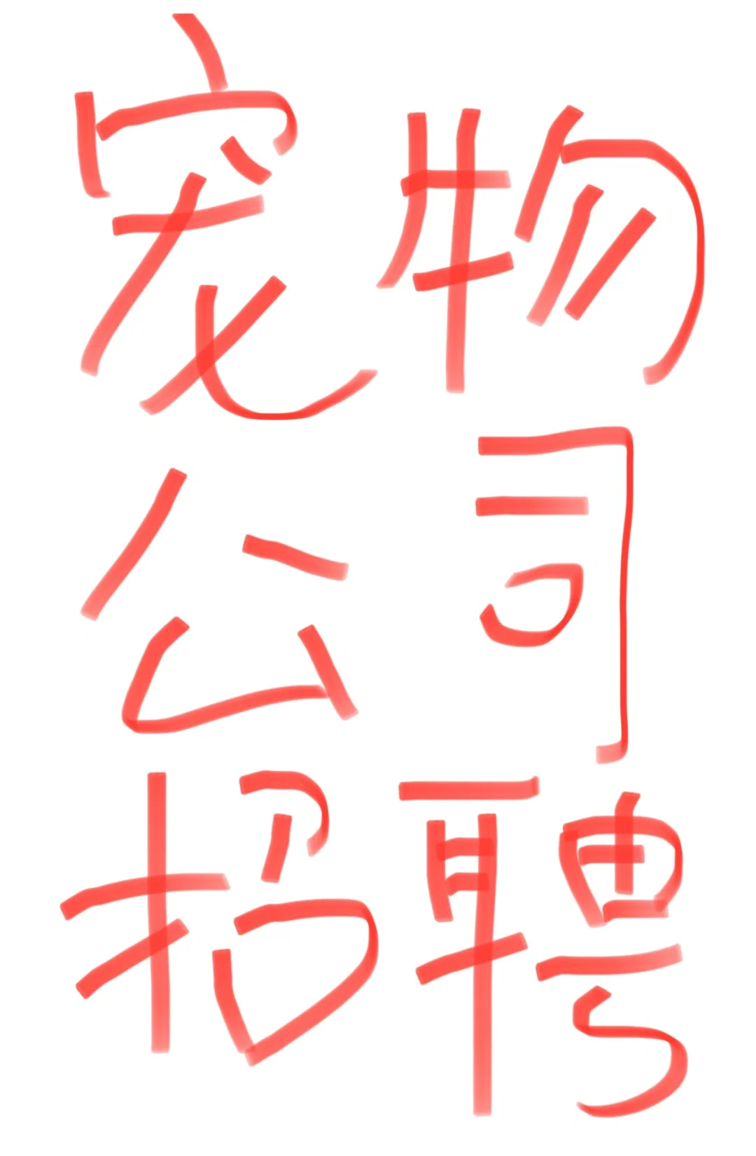 北上广杭宠物公司入职指南！每天带薪撸猫！