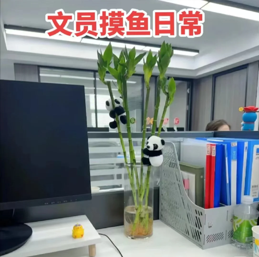 小公司文员岗位！体验感爆棚