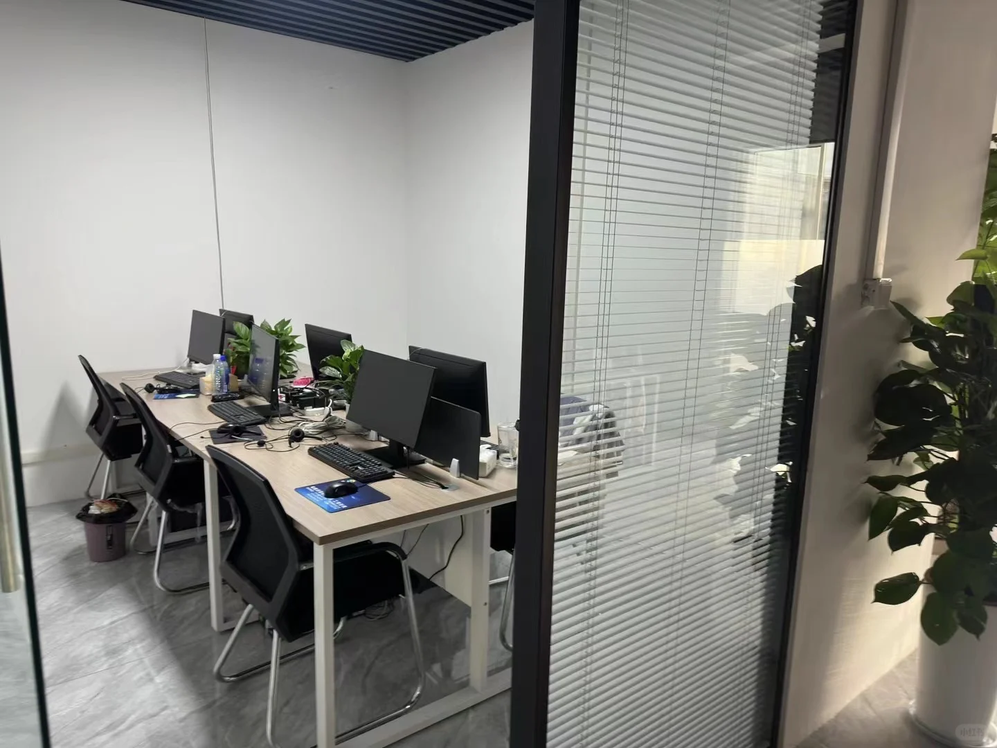 最美公司招人啦