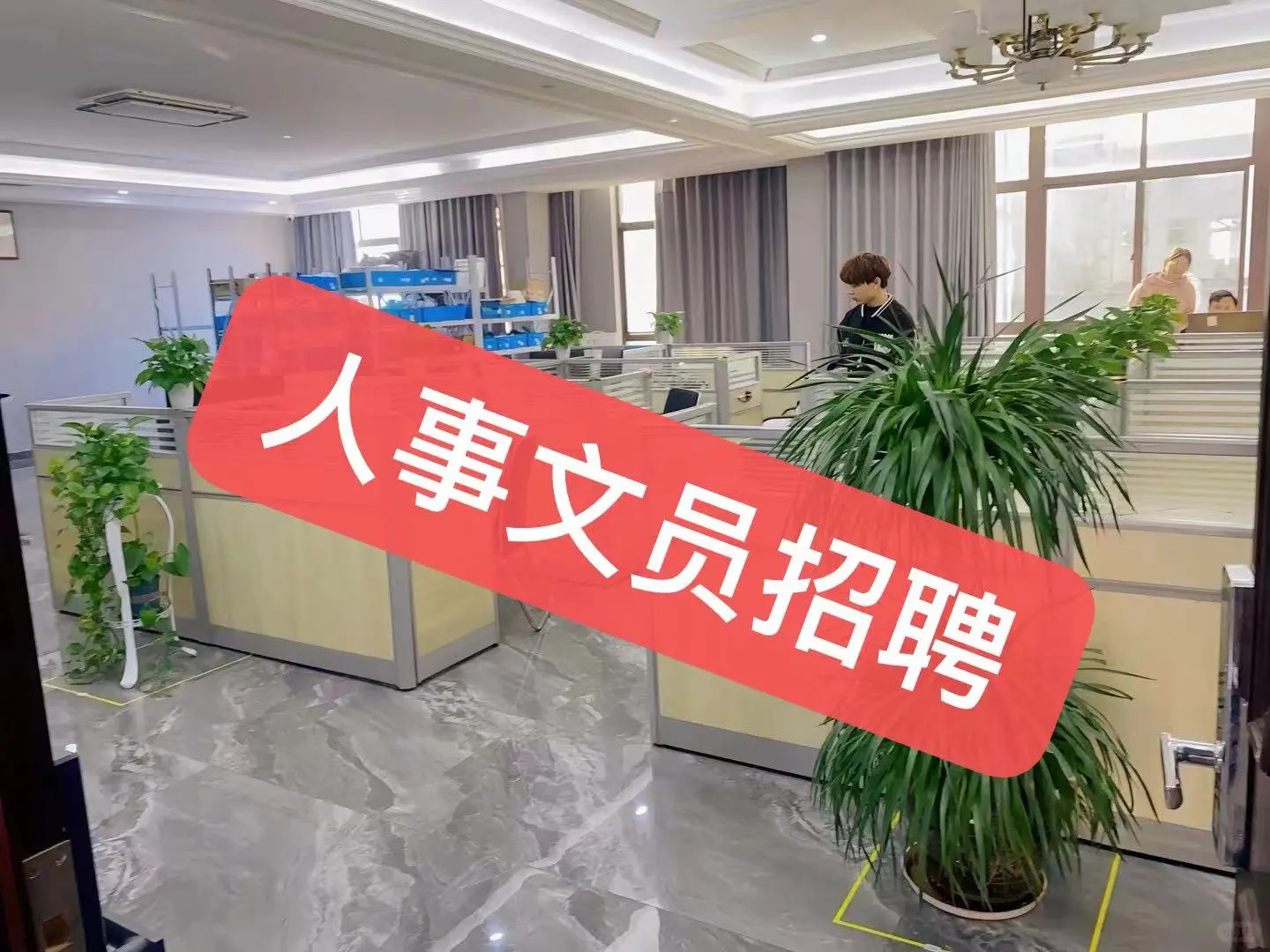 人事文员要人啦！