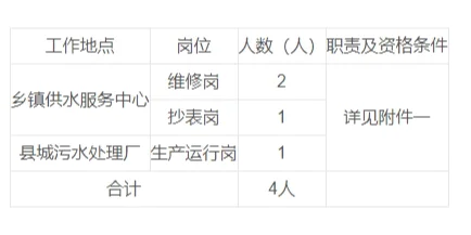 四川能投青川水务投资有限公司招聘公告