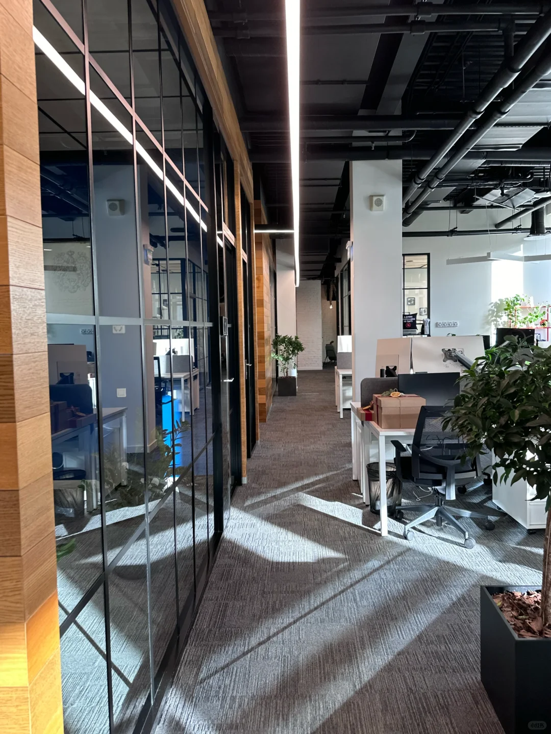 My office in Moscow 🇷🇺 这是我的办公室