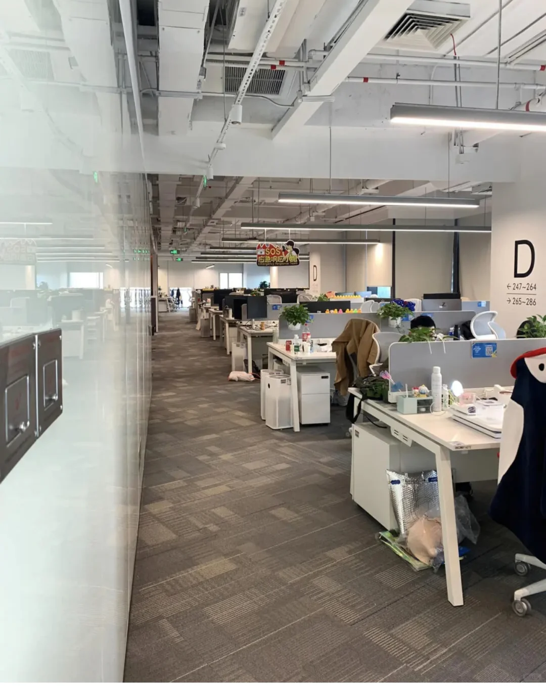 广招文员和居家办公文员