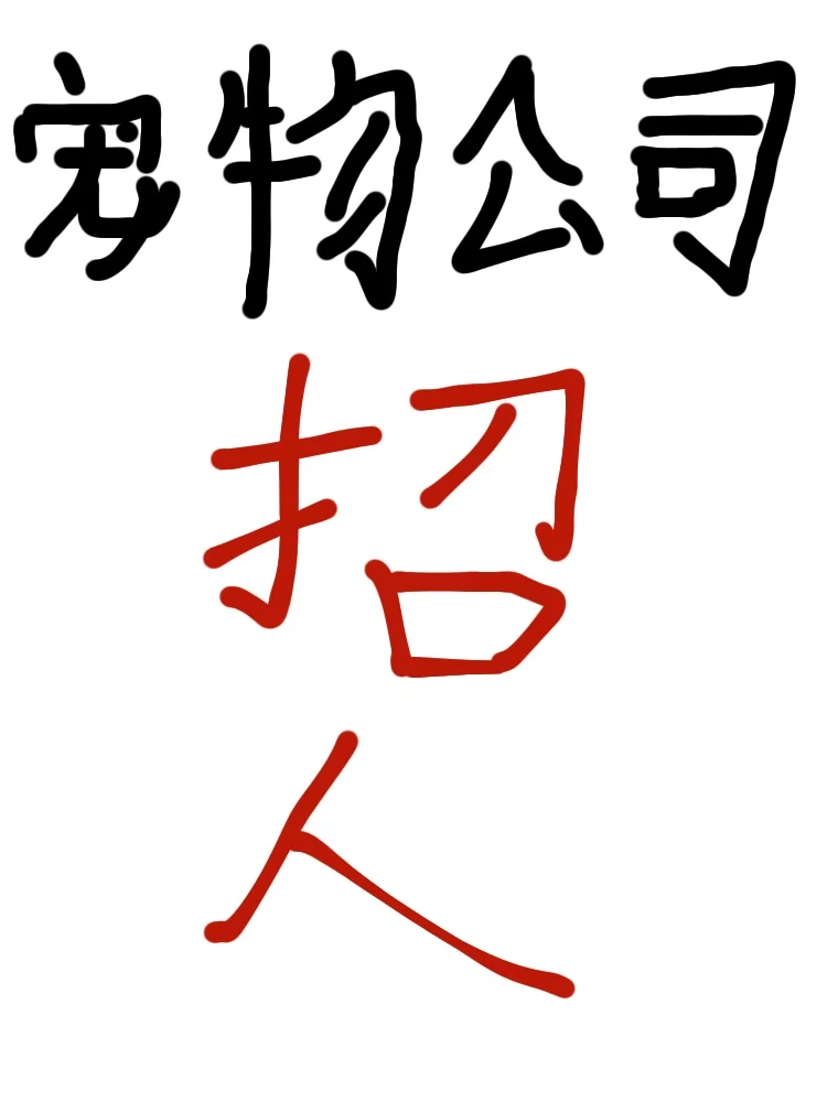宠物公司、招人、文员、客服、运营