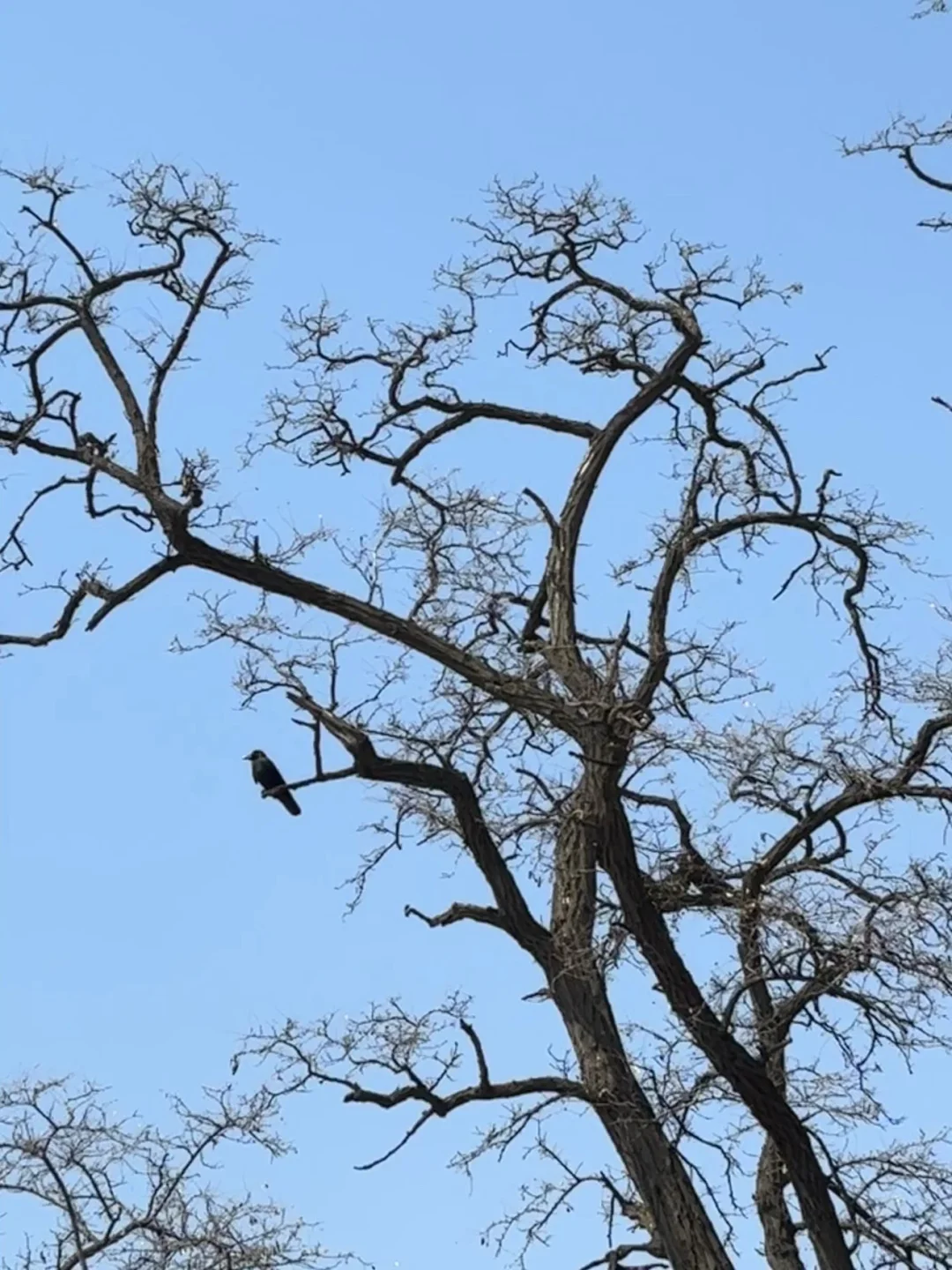 有谁在北京网聘咨询有限公司西安分公司上班