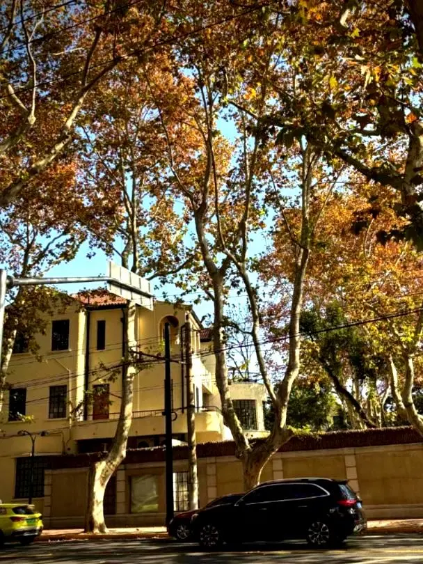 上海年底还有招聘信息吗？医美行业月薪达到3万元。