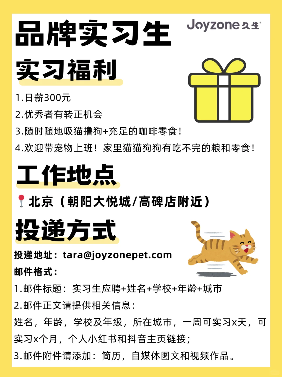 招聘｜快来和我🐱来做同事啊！