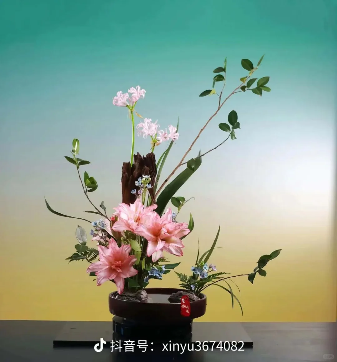 招小助理！待遇好 工作环境好 老板好