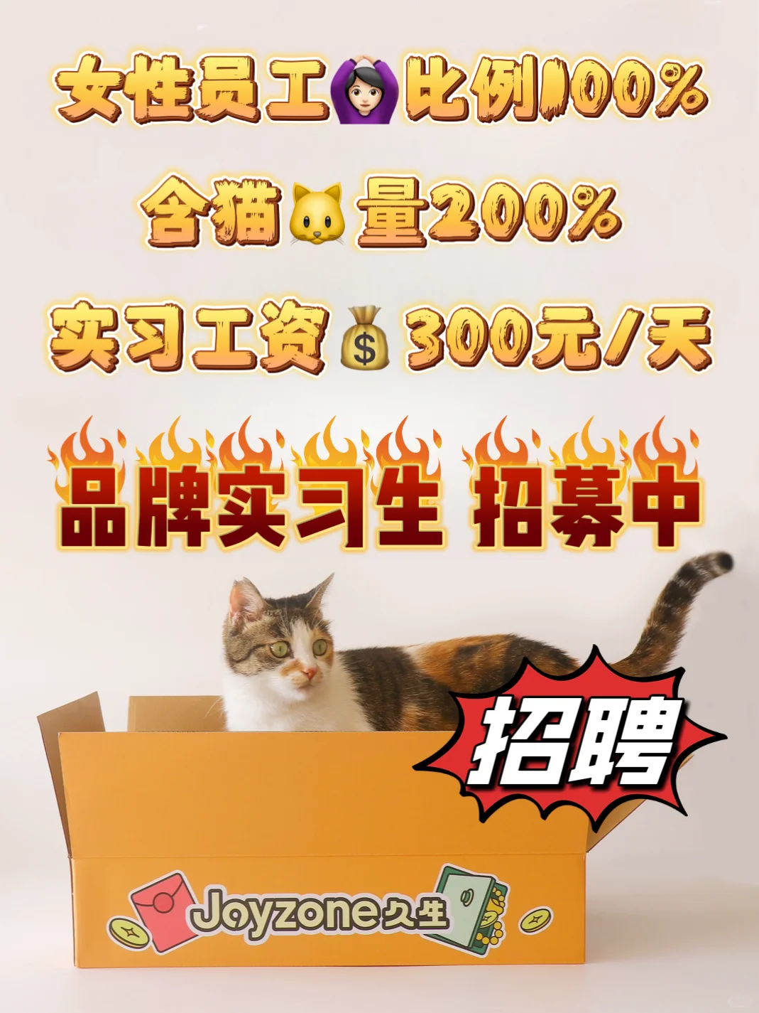 招聘｜快来和我🐱来做同事啊！