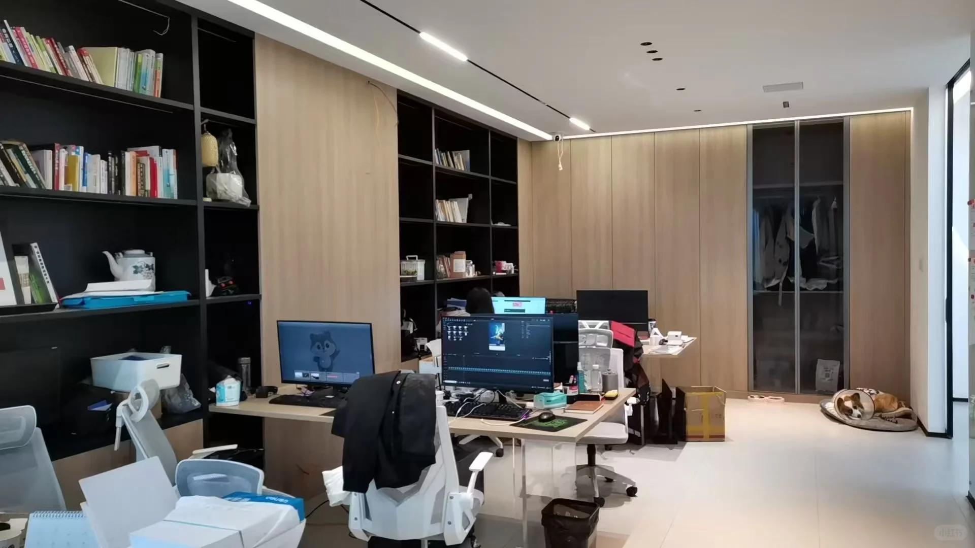 招小助理！待遇好 工作环境好 老板好