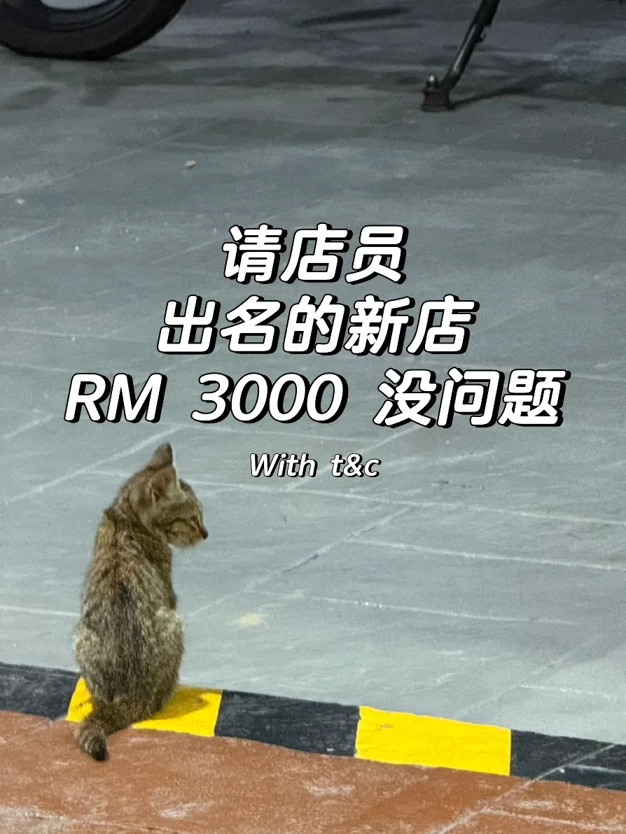 🇲🇾00后来让他们剁手