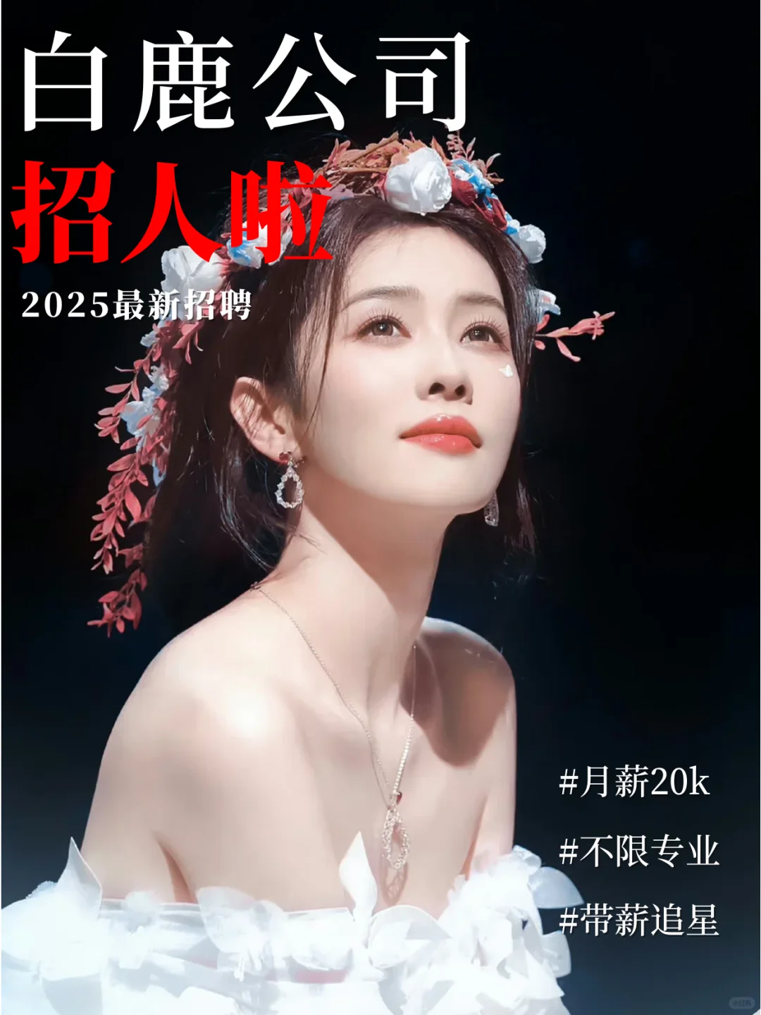 白鹿公司招人！可实习全职、不限专业高薪~