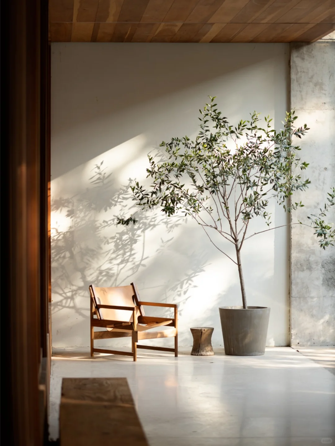 墨 · 聘 |你关注的木墨，招人啦！！！