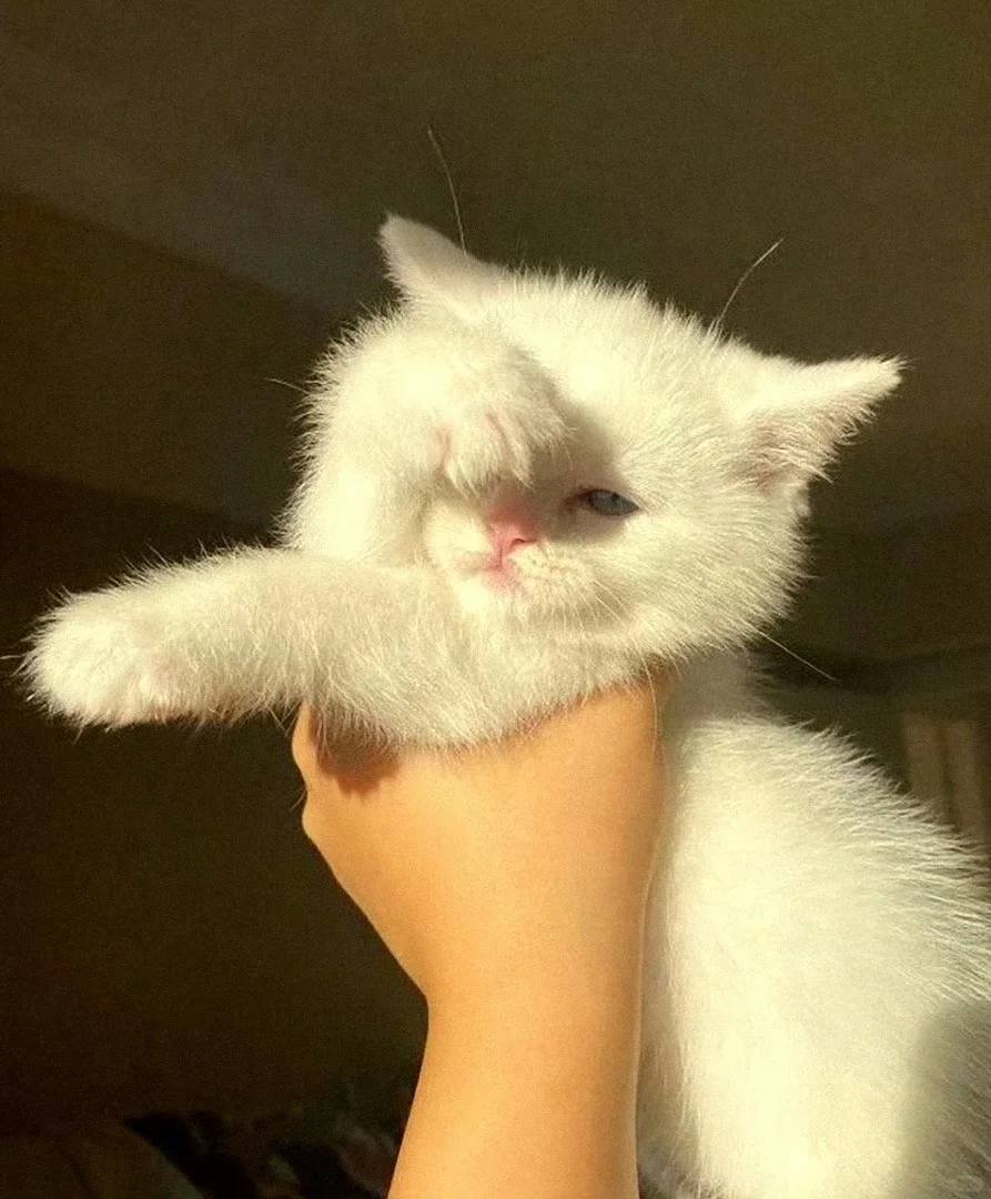 棋牌室招聘 随时上岗 年后到也可